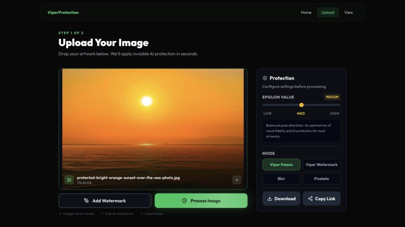 ViperProtection – screenshot 2