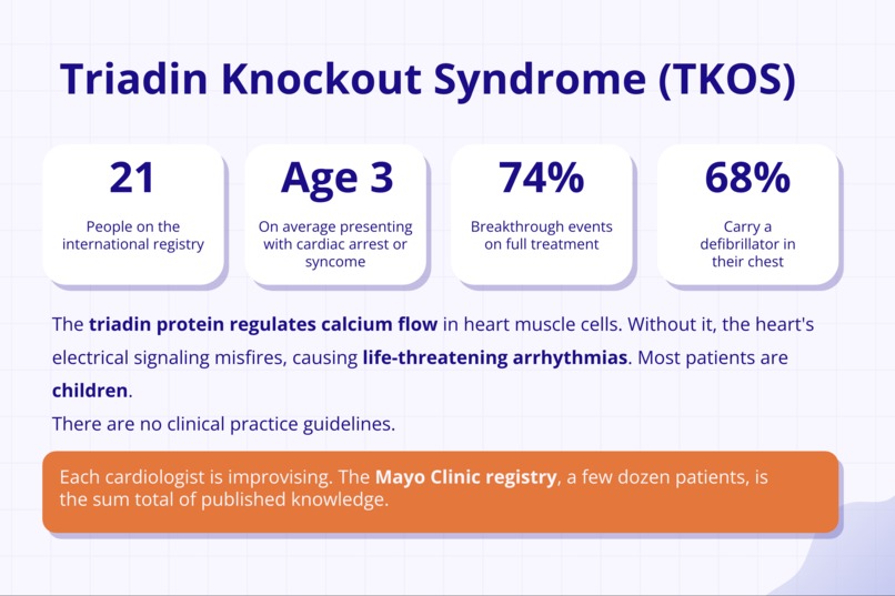 Knockout – screenshot 2
