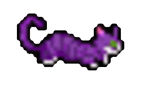 Run_Kitty_Run