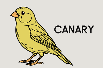 Canary