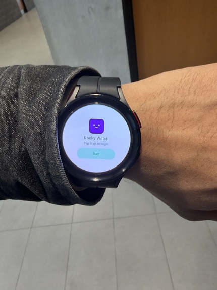 Rocky – screenshot 3