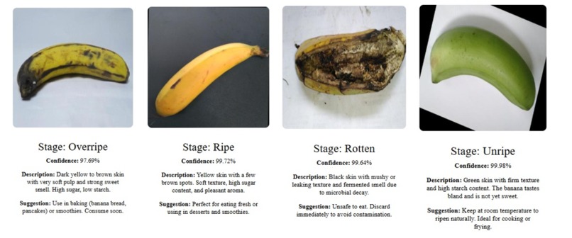 Fruit Ripeness Detection using Deep learning – screenshot 1