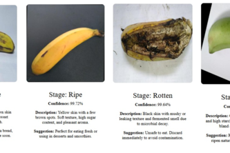 Fruit Ripeness Detection using Deep learning