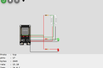 Intrusion Detection in Anonymous IoT Traffic Using ML