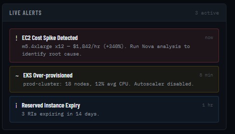 Nova cost-agent – screenshot 4