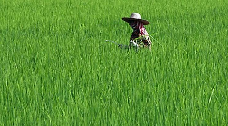 Farmer Help Assistant – screenshot 4