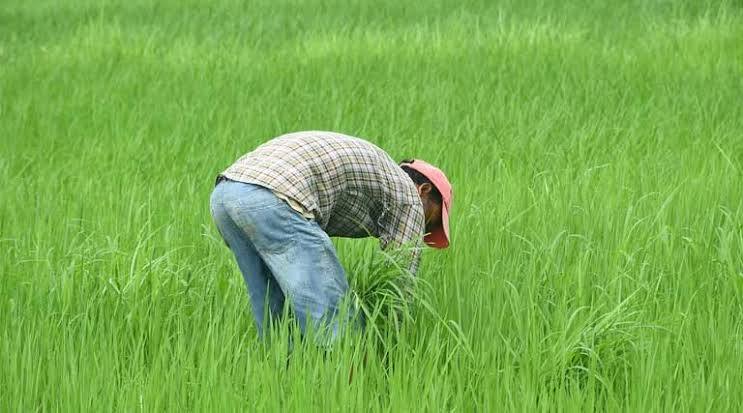 Farmer Help Assistant – screenshot 3