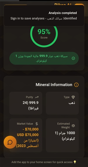 Rikaz AI: Intelligent And Sustainable Geological Exploration – screenshot 3