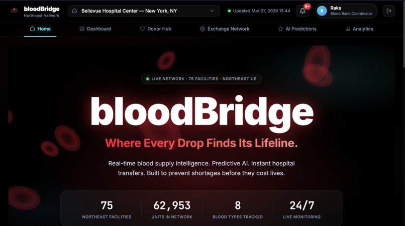 bloodBridge – screenshot 1