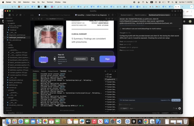 SpeedRay: Accelerating Chest X-Ray Diagnosis – screenshot 1