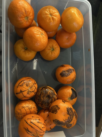 Orange You Glad It’s AI – screenshot 2