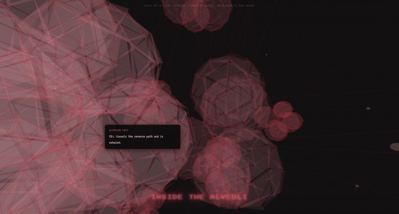 PulmoScan – screenshot 2