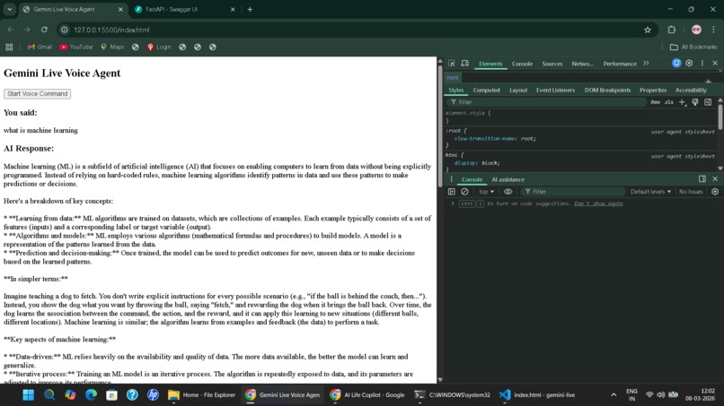 Gemini Live Multimodal Agent – screenshot 2