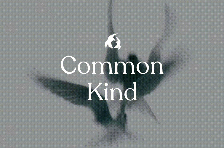 Common Kind – screenshot 5
