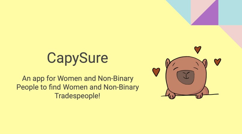CapySure – screenshot 1