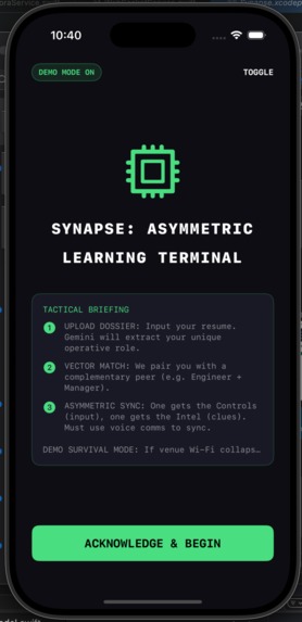 Synapse – screenshot 1