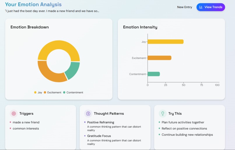 FeelWise – screenshot 2