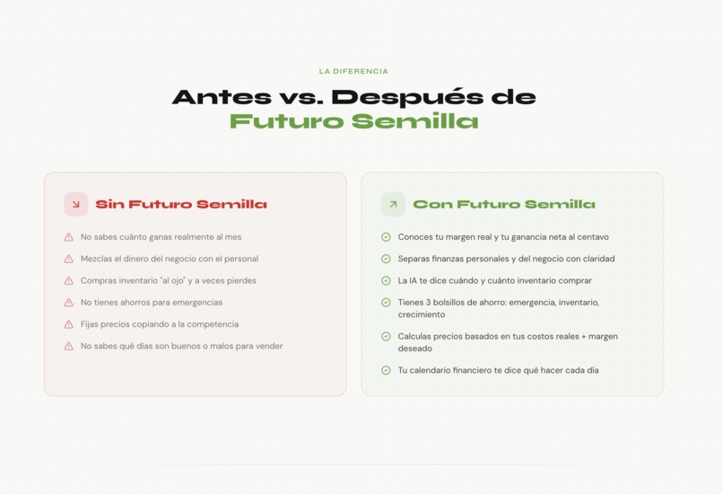 FUTURO SEMILLA – screenshot 3