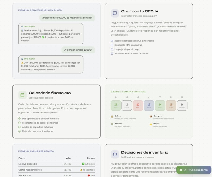 FUTURO SEMILLA – screenshot 10
