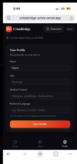 CrisisBridge – screenshot 4