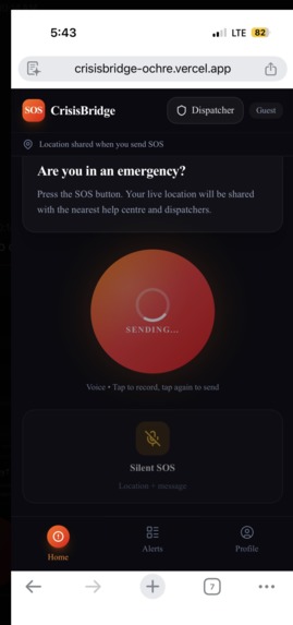 CrisisBridge – screenshot 7