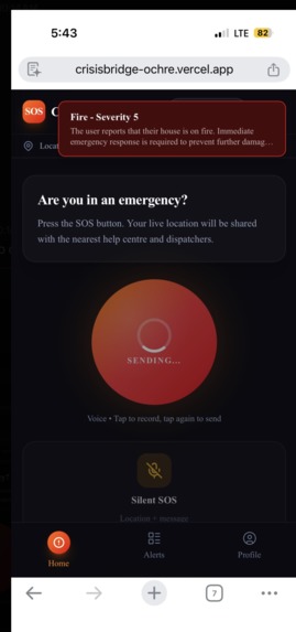 CrisisBridge – screenshot 9
