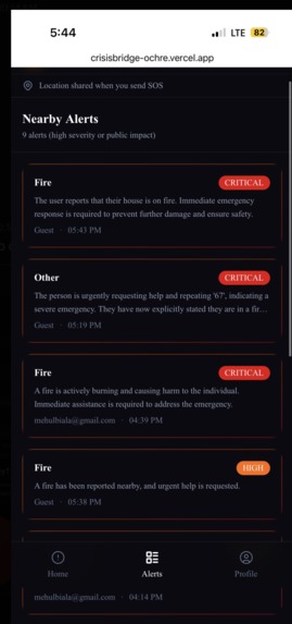 CrisisBridge – screenshot 8