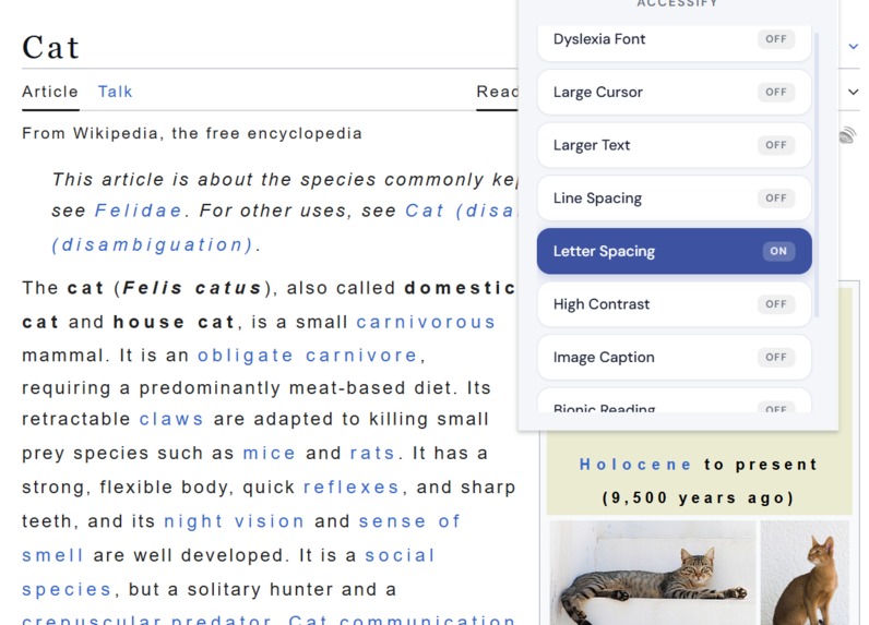 Accessify – screenshot 1