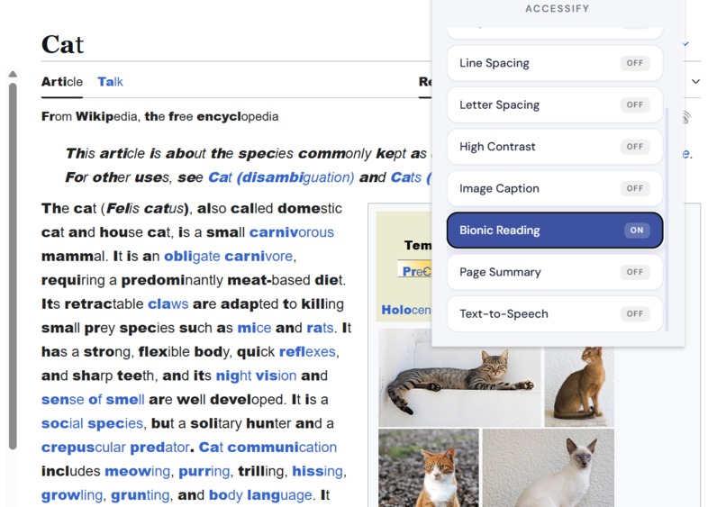 Accessify – screenshot 2