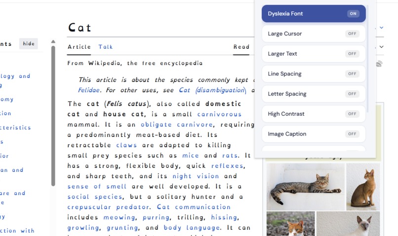 Accessify – screenshot 3