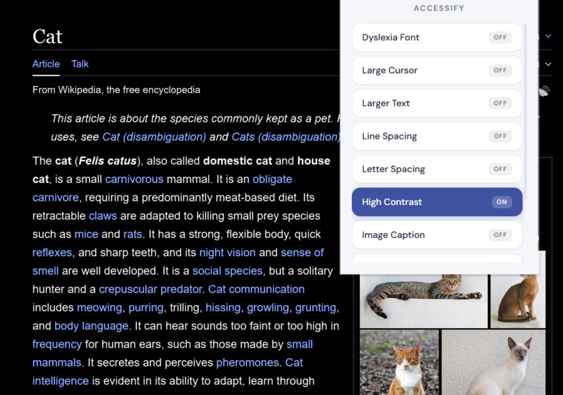 Accessify – screenshot 5