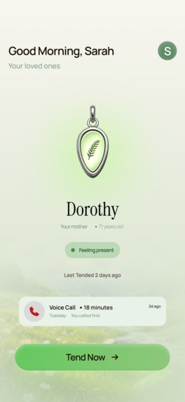 Fern – screenshot 2