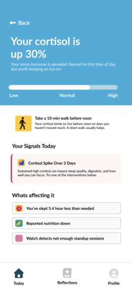 Cipher – screenshot 4