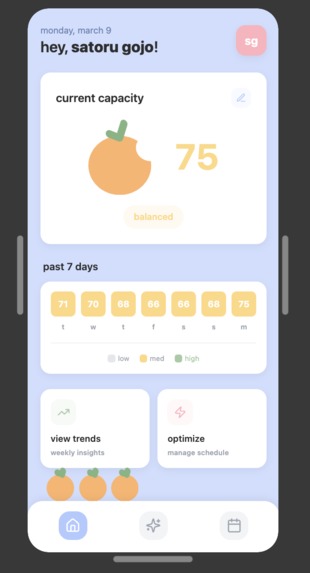 capacity – screenshot 2