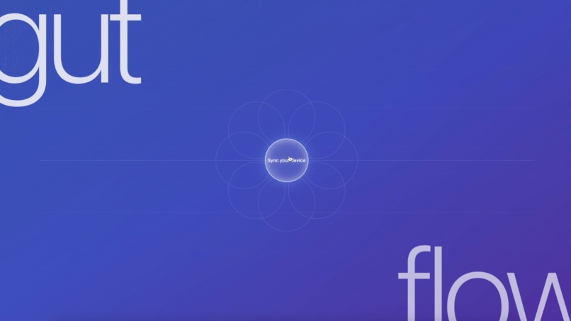 Gut Flow – screenshot 3