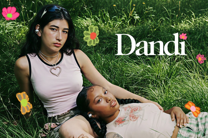 Dandi – screenshot 2