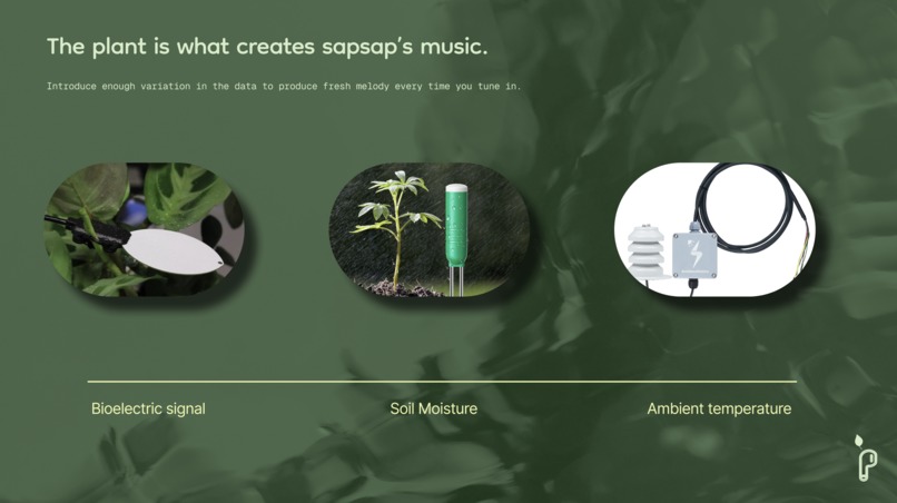 sapsap – screenshot 2