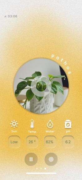 sapsap – screenshot 7