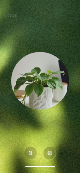 sapsap – screenshot 11