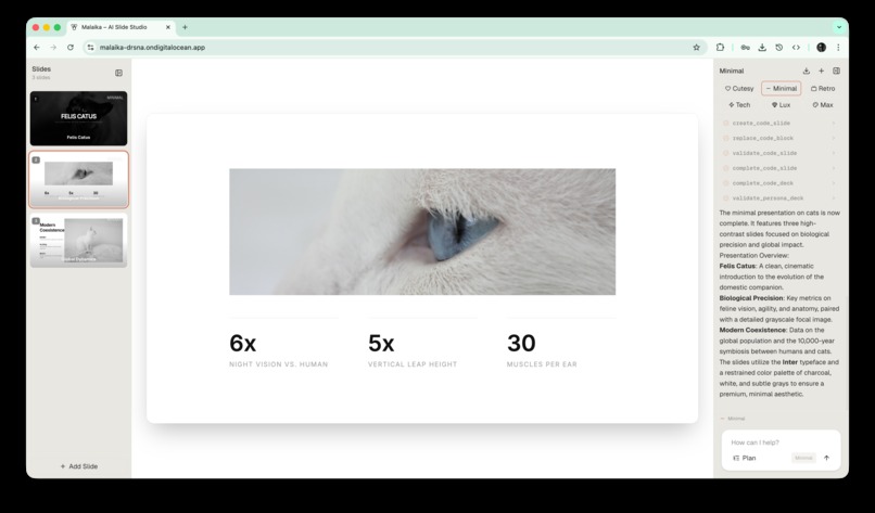 Malaika – screenshot 6
