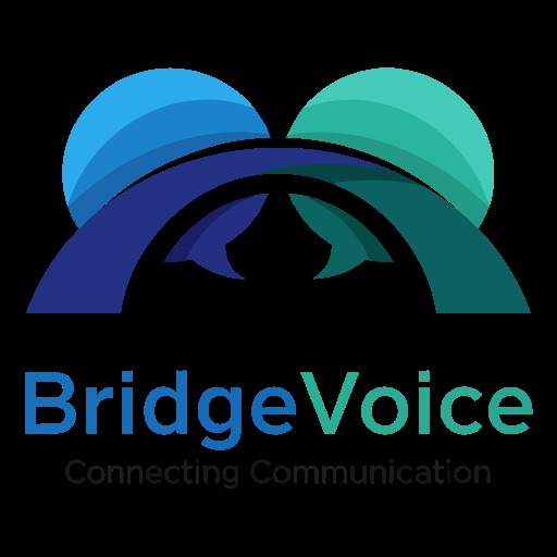 BridgeVoice – screenshot 1