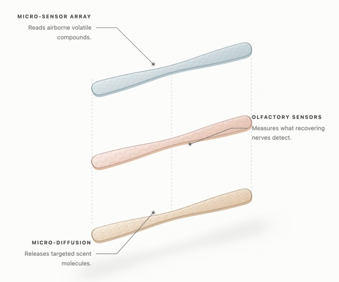 Taste Buds – screenshot 3