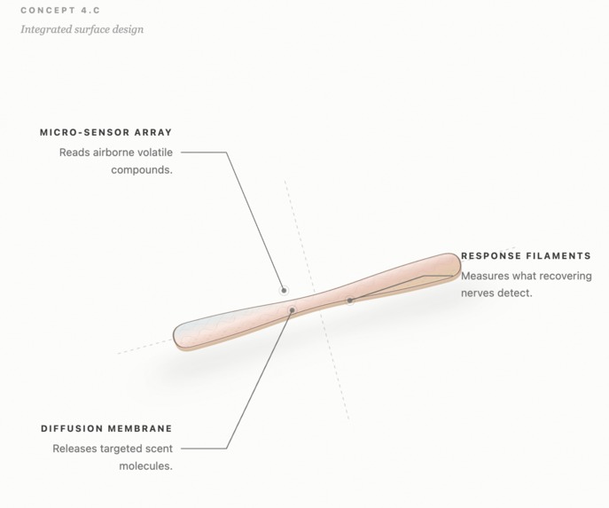 Taste Buds – screenshot 2