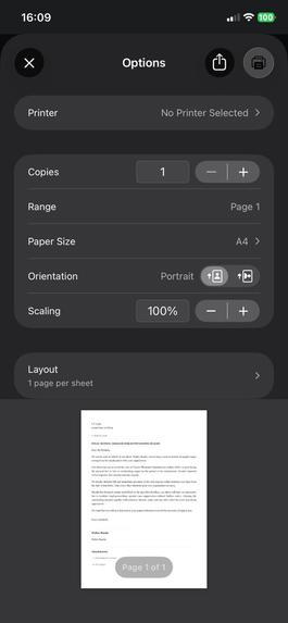 Mutemo Copilot – screenshot 4
