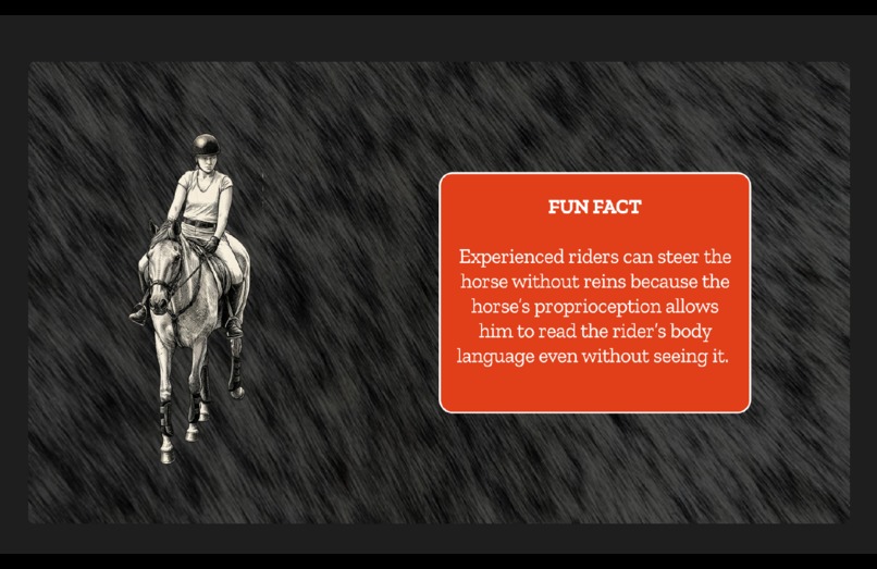 ReinGuide – screenshot 12