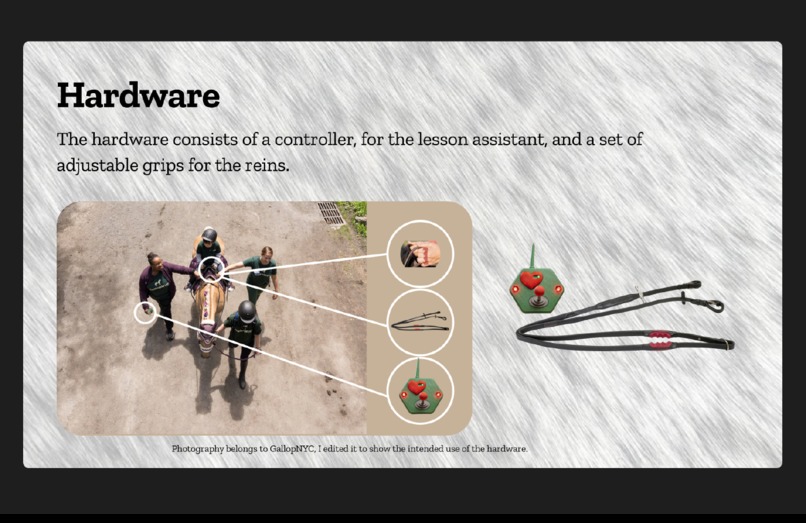 ReinGuide – screenshot 13