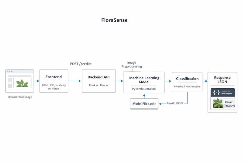 Image based recognition of invasive plants species | Devpost