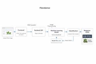  Image based recognition of invasive plants species 