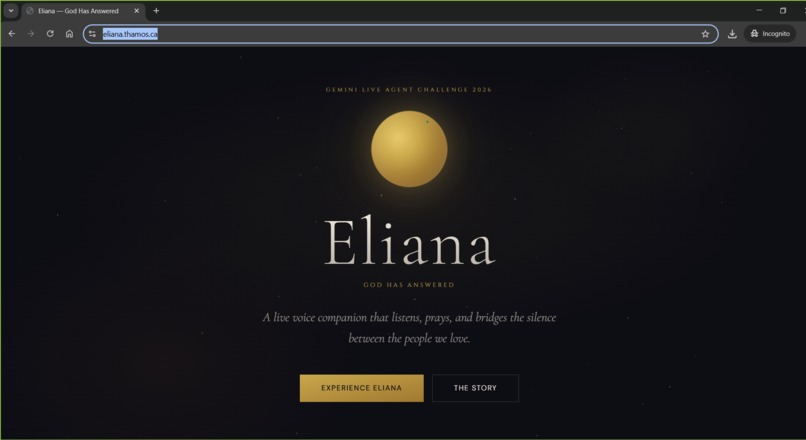 Eliana - God Has Answered – screenshot 1