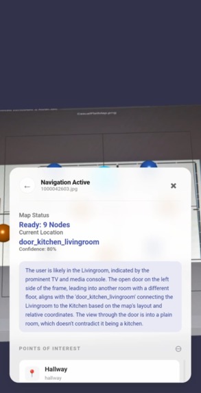 Gemini Vision Navigator – screenshot 7